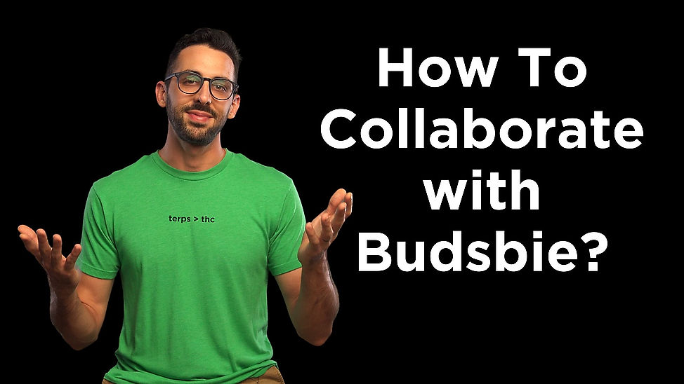 How To Collaborate with Budsbie